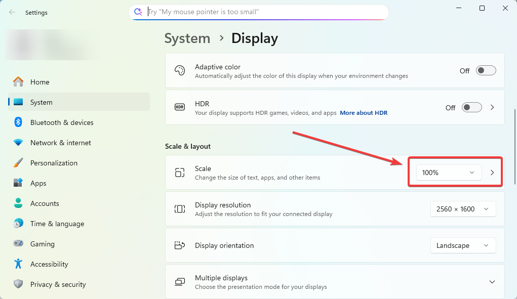 Windows Scale 100%